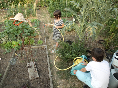 Définir un projet de jardinage à l'école