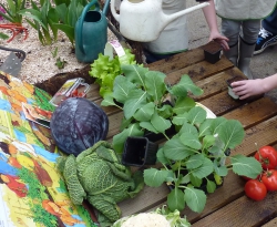 A la découverte des fruits et légumes