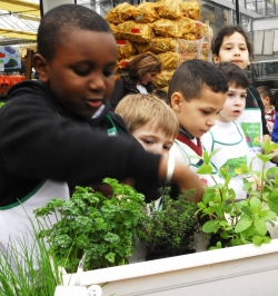 La réalisation de jardinières gourmandes