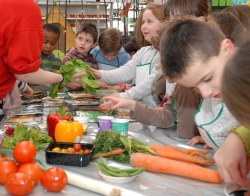 La biodiversité végétale au potager