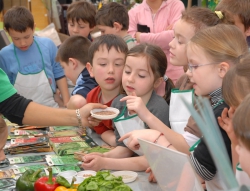 La diversité des graines potagères