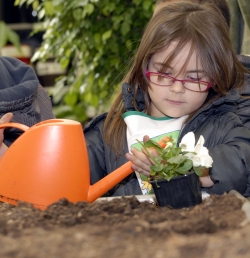 La gestion de l'eau au jardin