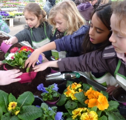 La réalisation de jardinières fleuries