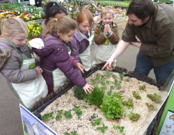 Les mariages de légumes réussis au jardin