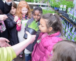 Éducation sensorielle avec les plantes aromatiques