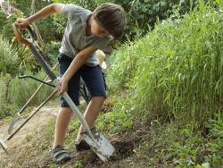 Les outils de base au jardin