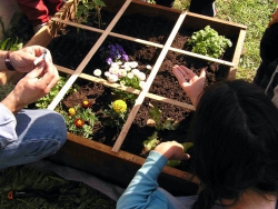 Le potager au carré