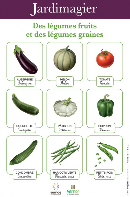 Jardimagier : Des légumes fruits et des légumes graines