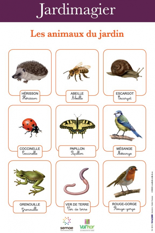 Scrabblo Les Animaux du Jardin main image 1