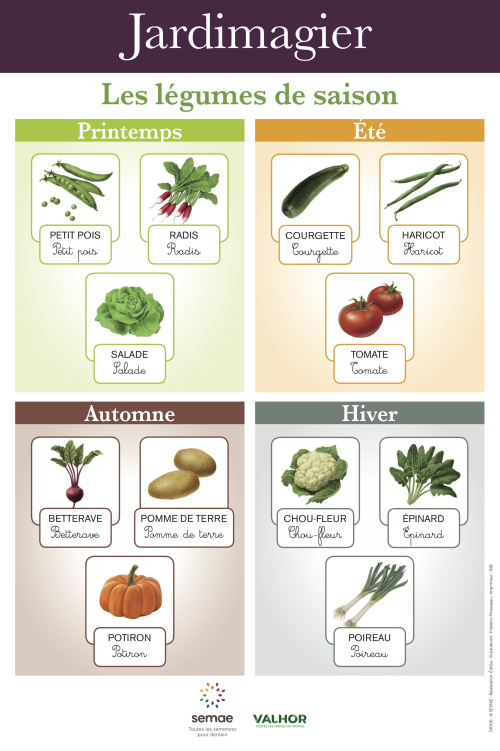 Jardimagier : Les légumes de saison