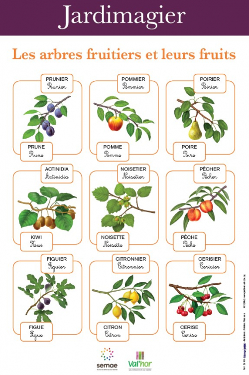 Atelier Pedagogique A La Decouverte Des Fruits Et Legumes