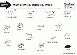 Animaux amis ou ennemis du jardin ?