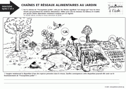 Chaînes et réseaux alimentaires au jardin