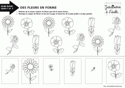 Des fleurs en formes