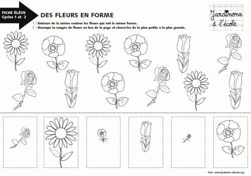 Séquence pédagogique : faire découvrir les fleurs aux enfants