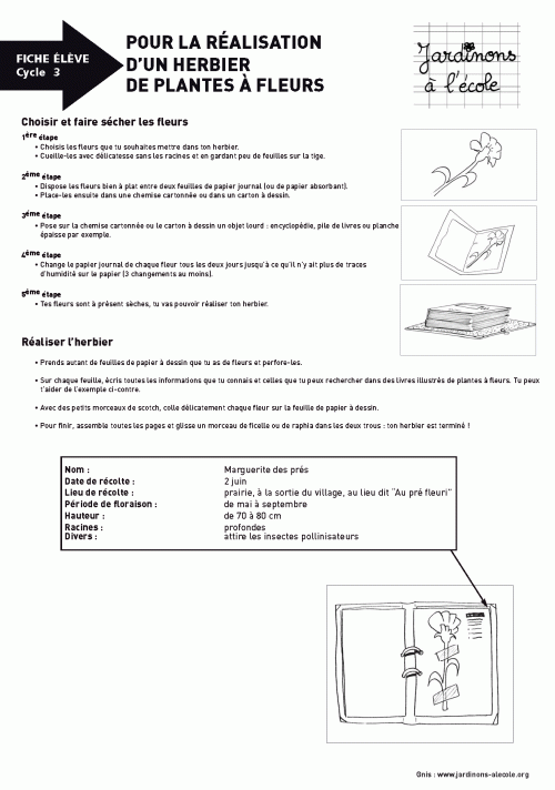 Fabriquer un herbier de plantes à fleurs