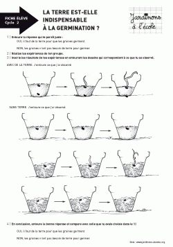 La terre est-elle indispensable à la germination ?