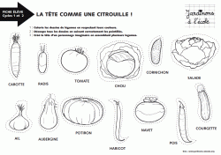 La tête comme une citrouille