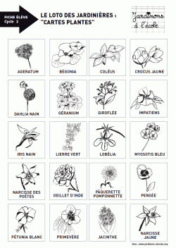 Le loto des jardinières