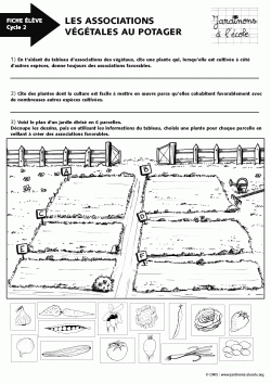 Les associations végétales - Cycle 2