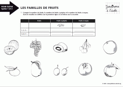 Les familles de fruits