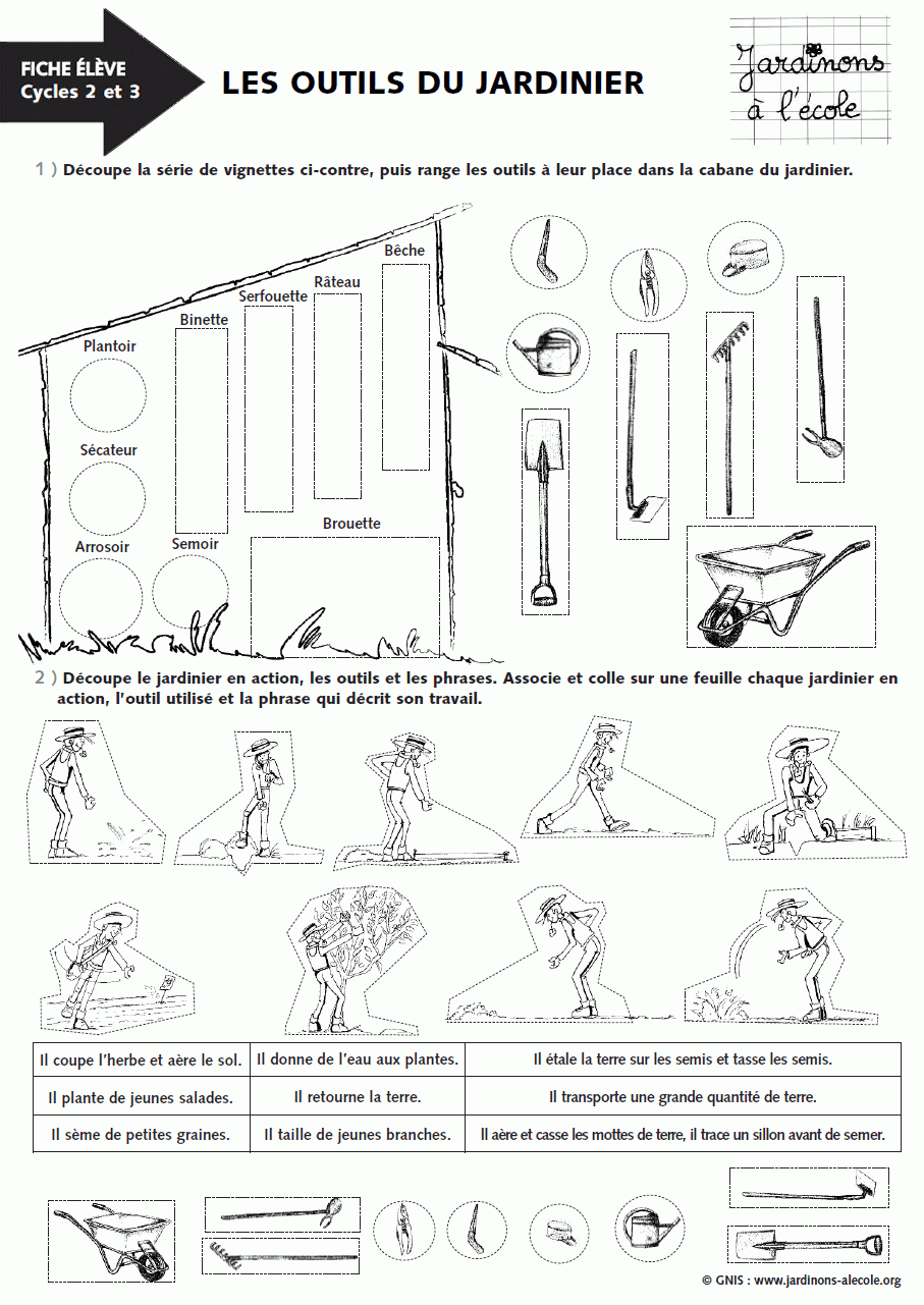 Activité pour la classe : Les outils du jardinier (cycles 2 & 3)