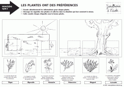 Les plantes ont des préférences