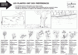 Les plantes ont des préférences