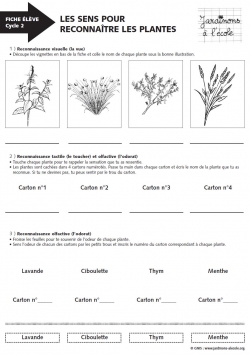 Les sens pour reconnaître les plantes