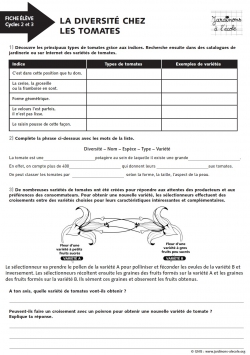 La diversité chez les tomates