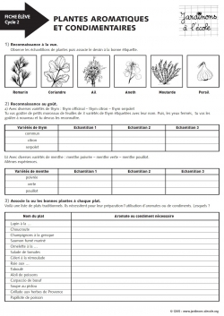 Plantes aromatiques et condimentaires