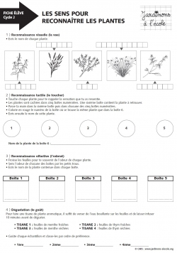 Les sens pour reconnaître les plantes
