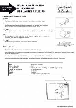 Fabriquer un herbier de plantes à fleurs