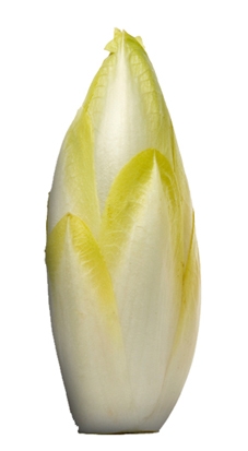 Plus d'infos sur Endive