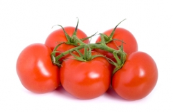 Plus d'infos sur Tomate