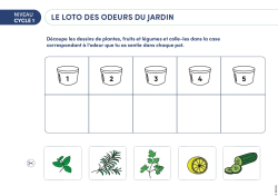 NOUVEAUTÉ - Le loto des odeurs du jardin