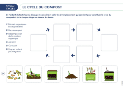 NOUVEAUTÉ - Le compost
