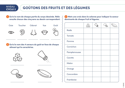 Goûtons des fruits et des légumes