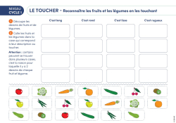 NOUVEAUTÉ - Reconnaître les fruits et les légumes en les touchant