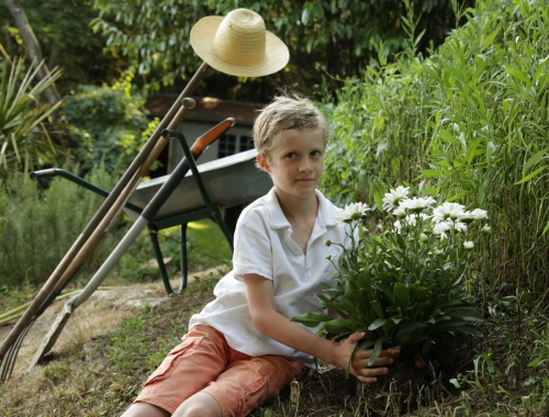 Les outils de base au jardin