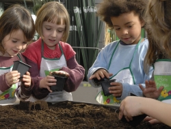Planter semences avec les enfants