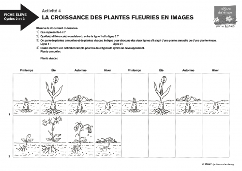 Activité de printemps: coloriage d'une fleur –