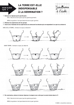 Mini Thématique Cycle 1: La Germination et les Plantes - Home's Cool