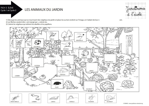 Les animaux du jardin