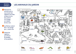 Les animaux du jardin