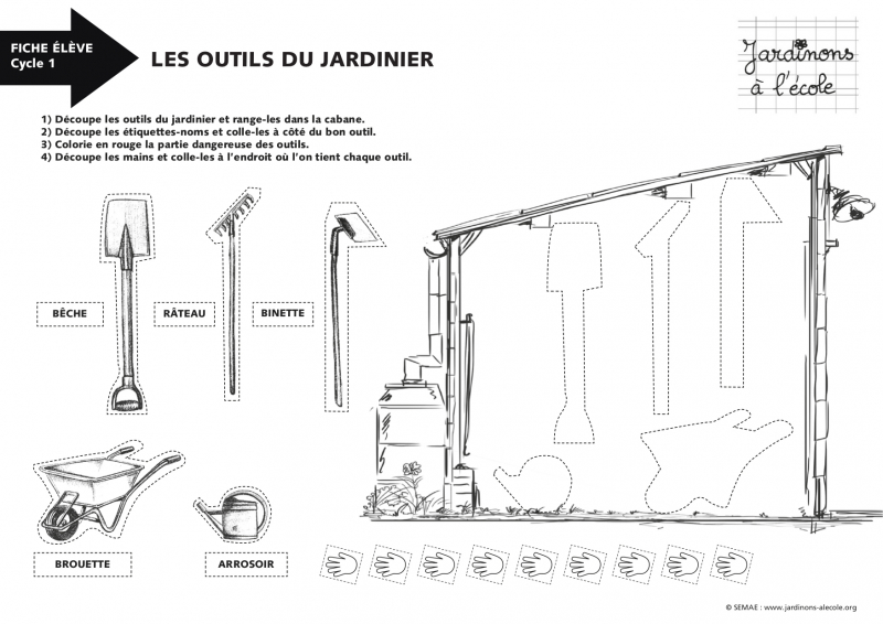 Activité pour la classe : Les outils du jardinier (cycle 1)