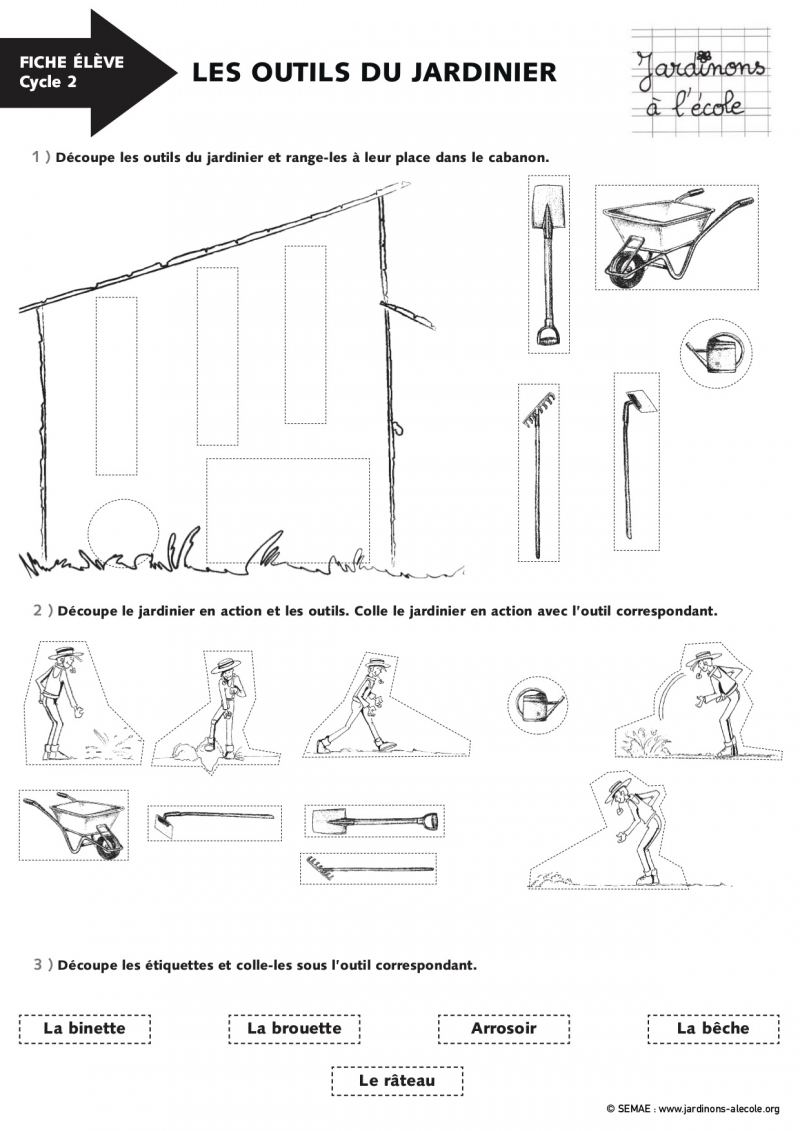 Activité pour la classe : Les outils du jardinier (cycle 2)